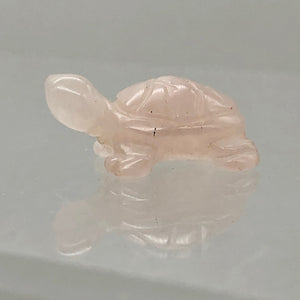 Carved 2 Rose Quartz Turtle Beads | 20x12.5x9mm | Pink