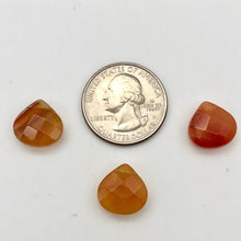 Load image into Gallery viewer, Sparkling! 3 Carnelian Agate Briolette 13x13x6mm Beads - PremiumBead Alternate Image 3
