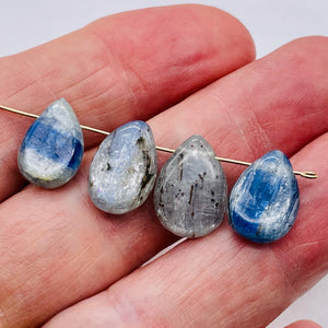 Kyanite Flat Briolette Teardrop Bead | 17x12x5-13x9x3.5mm| Blue/Silver| 4 Beads|