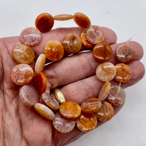 Snakeskin/Crab Fire Agate Focal Bead Strand 108958