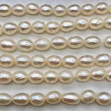 Load image into Gallery viewer, 7 Stunning Faceted 8x6mm to 5x7mm Pearls 000650 - PremiumBead Alternate Image 4
