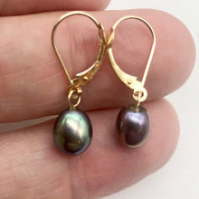 Load image into Gallery viewer, Rainbow Lavender Freshwater Pearl and 14K Drop Lever Back Earrings | 1 inch | - PremiumBead Alternate Image 2
