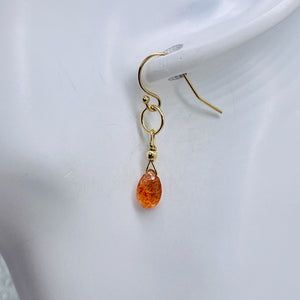 Sunstone Faceted Briolette 14K Gold Filled Earrings | 3/4" Long | Orange | 1 |
