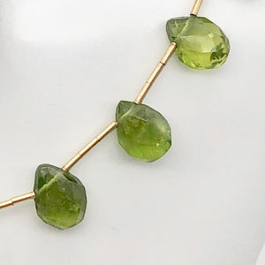 Natural Green Peridot Briolette &14k Earrings 200867 - PremiumBead Alternate Image 8