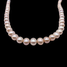 Load image into Gallery viewer, Lovely! Natural Peach Freshwater Pearl 16&quot; Strand Graduated 6mm to 8mm 110811B
