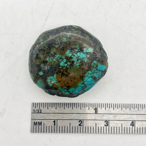 1 Bead of Gorgeous Natural USA Turquoise Pebble 8342 - PremiumBead Alternate Image 2