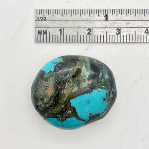 1 Bead of Gorgeous Natural USA Turquoise Pebble 8342 - PremiumBead Alternate Image 4