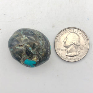 1 Bead of Gorgeous Natural USA Turquoise Pebble 8342 - PremiumBead Alternate Image 5
