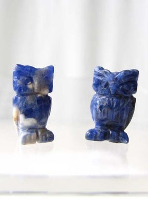 2 Wisdom Carved Sodalite Owl Beads - PremiumBead Primary Image 1