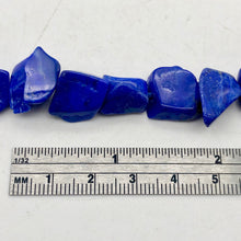 Load image into Gallery viewer, Stunning! Natural Gem Quality Lapis Lazuli Bead Strand!| 42 beads | 11x10x6mm | - PremiumBead Alternate Image 4
