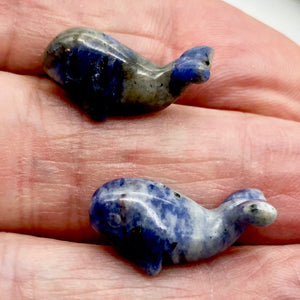 Carved Animal Sodalite Whale Figurine Worry Stone | 20x13x11mm | Blue white - PremiumBead Alternate Image 3