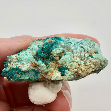 Stunning Dioptase on Chrysocolla Display Specimen 10670B - PremiumBead Primary Image 1