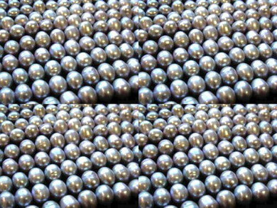 3 Huge Icy Harvest Moon Freshwater Pearls 002262 - PremiumBead Primary Image 1