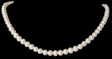 Load image into Gallery viewer, Eleven Pearls of Perfect Round Wedding White 6-5.5mm FW Pearls 4504
