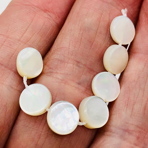 Hot Natural Mother of Pearl Shell Bead Strand | 8x2 mm | 51 Pearls |