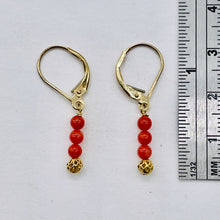 Load image into Gallery viewer, AAA Natural Ox Blood Red Coral Solid 14K Gold Earrings 302904C

