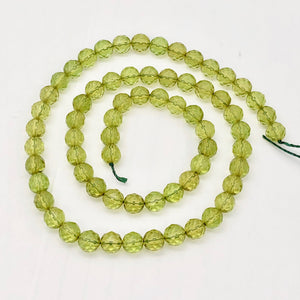 Amber Faceted Round Beads | 6mm | Green | 11 Bead(s)