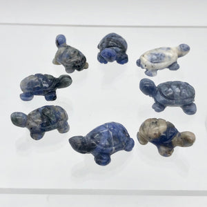 Adorable Sodalite Carved Turtle Figurine/Worry Stone | 20x12.5x8mm | Blue White - PremiumBead Alternate Image 5