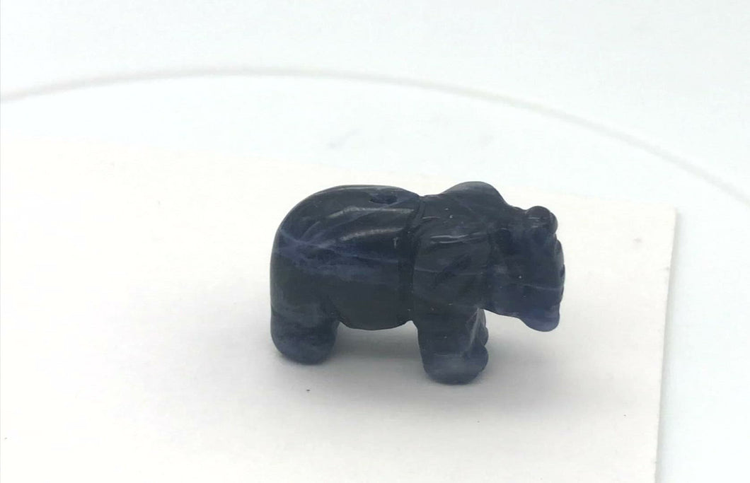 Wild Hand Carved Sodalite Elephant Figurine | 20x15x7mm | Clear