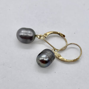 South Sea Pearl 14k Gold Lever Back Drop Earrings | 1" Long | Gray | 1 Pair |