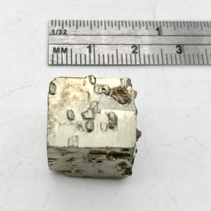 Pyrite Cube Display Specimen! W/Quartz! |.5x.5x.5mm | silver | cube | 1 each | - PremiumBead Alternate Image 2