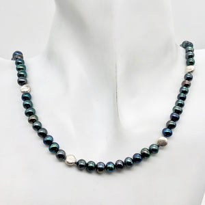 Dramatic Blue Rainbow Peacock Freshwater Pearl Sterling Silver Necklace 20 inch