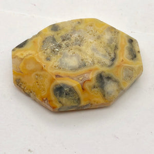 Crazy Lace Agate Carved Pendant Bead | 40x29x8mm | Red Gray |