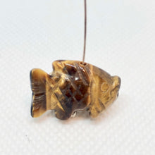 Load image into Gallery viewer, Swimmin&#39; 2 Carved Tigers Eye Fish Koi Carp Beads | 23x11x8mm | Gold - PremiumBead Alternate Image 2

