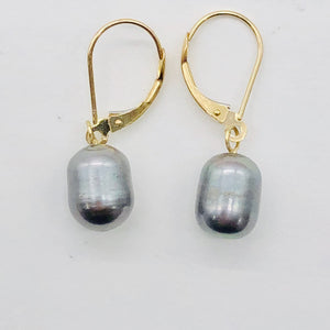 South Sea Pearl Drop 14K Gold Earrings | 1" Long | Silver/Black | 1 Pair |