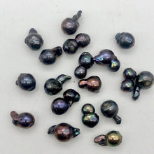 Load image into Gallery viewer, Amazing! Each Pearl one of a kind Black Peacock Fireball Pearl Strand - PremiumBead Alternate Image 12
