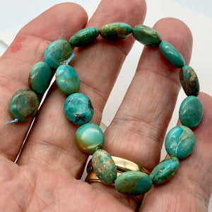 3 Natural Turquoise 12x10mm Oval Beads 2175