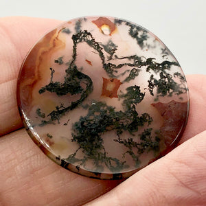 Limbcast Agate Bead - Tree of Life | 28x2mm | Clear/Green | Round | 1 Bds - PremiumBead Alternate Image 2