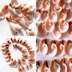 Natural Shell Divine Spiral Focal Bead Strand - PremiumBead Alternate Image 3