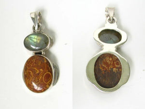 Exotic Labradorite, Fossil & Sterling Silver Pendant 7358 - PremiumBead Primary Image 1