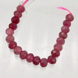 Tourmaline Faceted Roundel Beads | 4x3mm | Pink | 20 Bead(s)