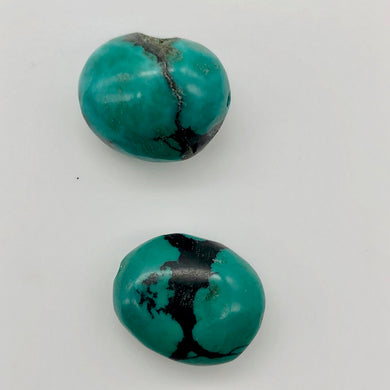 Natural Turquoise Oval Skipping Stones | 20x15mm | Blue/Green | Oval | 2 Beads | - PremiumBead Primary Image 1
