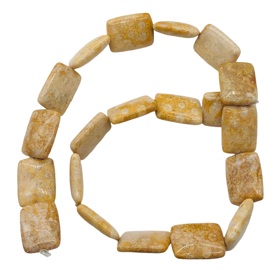 Coral Fossilized Strand Rectangular | 20x15x6 mm | Brown/White | 20 Beads |