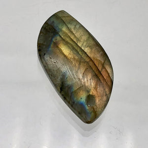 Labradorite Spectrolite Free Form Pendant Bead | 40x20x7mm | Golden Blue |