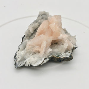 Pink Stilbite Crystals on bed of Apophyllite Collecter's Specimen | 55x48x22mm - PremiumBead Alternate Image 4