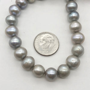 Silvery Moonlight Romance Fresh Water Pearl Strand | 11x8-7.5x7mm | 50 Pearls | - PremiumBead Alternate Image 8