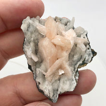 Load image into Gallery viewer, Pink Stilbite Crystals on bed of Apophyllite Collecter&#39;s Specimen | 55x48x22mm - PremiumBead Alternate Image 2
