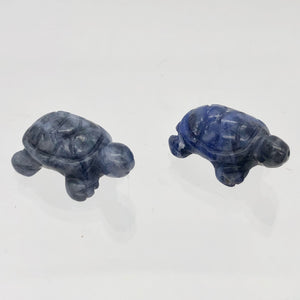 Adorable 2 Sodalite Carved Turtle Beads | 20x12.5x8mm | Blue white - PremiumBead Alternate Image 2