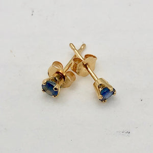 Blue Sapphire 14K Gold Earrings | 3mm | Blue | Stud | - PremiumBead Primary Image 1