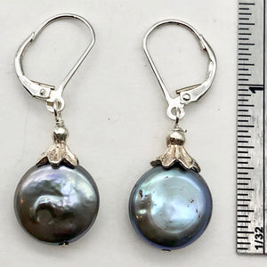 Platinum Freshwater Coin Pearl and Sterling Dangling Earrings | 1 1/4 Inch Drop |