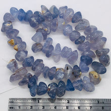 Load image into Gallery viewer, Oregon Holly Blue Chalcedony Agate 79 Grams Nugget Strand| 11x6 18x8 | 61 Bead |

