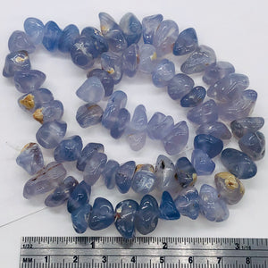 Oregon Holly Blue Chalcedony Agate 79 Grams Nugget Strand| 11x6 18x8 | 61 Bead |