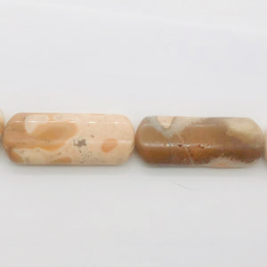 Conglomerate Jasper Rounded Rectangle Strand | 40X15X5 | Pastels/Brown | 10 Bead