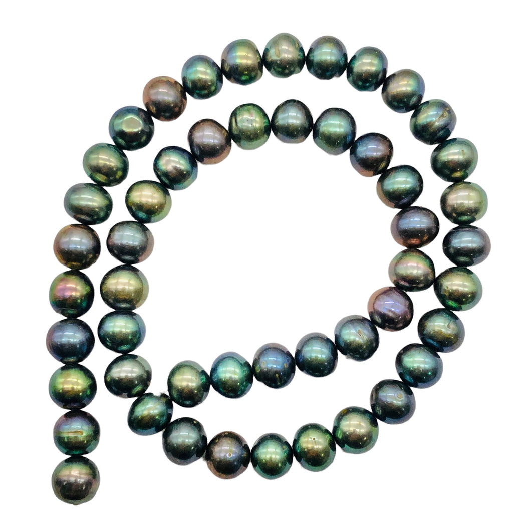 Fresh Water Pearl Strand Round | 9 mm | Blue/Bronze | 50 Beads |