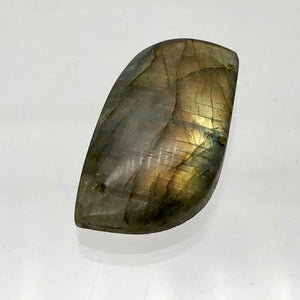 Labradorite Spectrolite Free Form Pendant Bead | 38x20x8mm | Golden Gray |