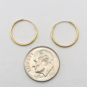 14k Solid Gold Endless Hoop Earrings | 14mm | Gold | 1 Pair Earrings |